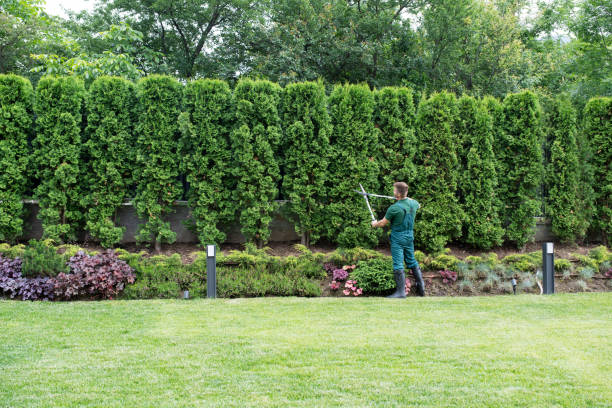 Best Lawn Mowing  in Del Rey Oaks, CA